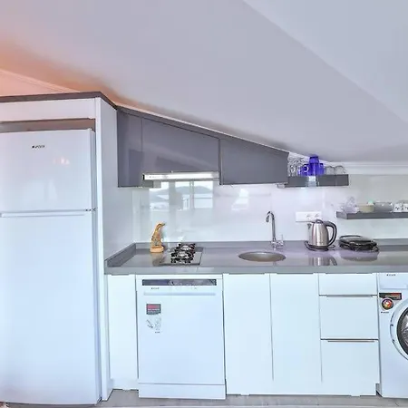 Апартаменты Penthouse 1-2 Ozy *